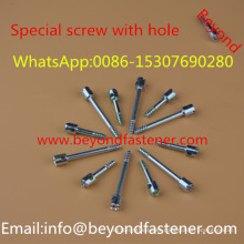 Screw Bolts Special Screw Step Bolts